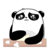 ️Pandita mix  MOV 19
