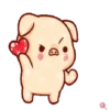 Shine pig 2 MOV 18