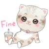 ˙·٠● kitten cat 2 ●٠·˙mov 16