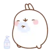 Molang & Friends  Mov 21