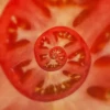 Hypnotic fruits 16