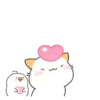 Cat's and Friends  (Mov) 20
