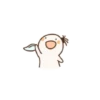 ️Niño calvito   MOV 22