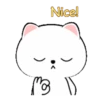 White Cat 5  .MOV 16