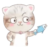 ˙·٠● kitten cat 2 ●٠·˙mov 17