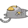 Regordete Meow      Mov 24