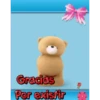 oso enamorado  1 MOV 25