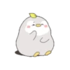 ️ Pingüinos cute    MOV 18