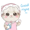 ˙·٠● kitten cat 2 ●٠·˙mov 18