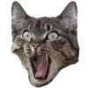 Animales Animados 1 25