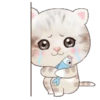 ˙·٠● kitten cat 2 ●٠·˙mov 20