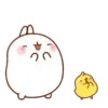Molang & Friends  Mov 26
