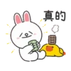 天竺鼠森森 x BROWN & FRIENDS 日常貼圖 22