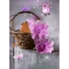 amor y amistad  1MOV. 27