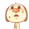 ️ Perrito Lucas   MOV 21
