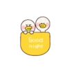 Soya Duck 24