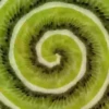 Hypnotic fruits 18