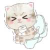 ˙·٠● kitten cat 2 ●٠·˙mov 21