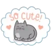 Regordete Meow      Mov 25