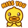 B.Duck Baby Daily 15