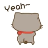 Gatito Perrito  Mov 21