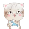 ˙·٠● kitten cat 2 ●٠·˙mov 23