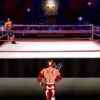 LUCHADORESANIMA 28