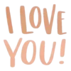 Amore ᥫ᭡ Cats ᥫ᭡ Mov 11