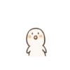 ️Niño calvito   MOV 27