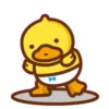 B.Duck Baby Daily 17
