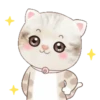˙·٠● kitten cat 2 ●٠·˙mov 24