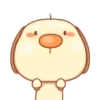 ️ Perrito Lucas   MOV 23