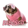 Perros cool 29