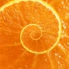 Hypnotic fruits 19