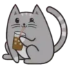 Regordete Meow      Mov 30