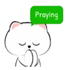White Cat 5  .MOV 24