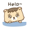 Gatito Perrito  Mov 24