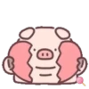 Cuchi pig MOV 5