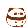 Pandita 8