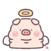 Cuchi pig MOV 6