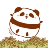 Pandita 9
