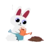 Rabbit cute 1 7