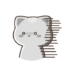 ️Gato bonito  MOV 6
