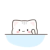 ️Gato bonito  MOV 7