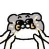 KIKI KAT mov 9