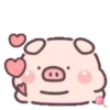Cuchi pig MOV 10