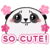 Lee Panda 6