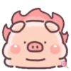 Cuchi pig MOV 11
