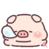 Cuchi pig MOV 12
