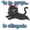 furiosos mov 10
